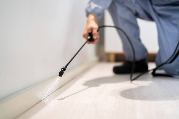 Licensed Pest Control service in Abita Springs, LA - Show Me Pest Control