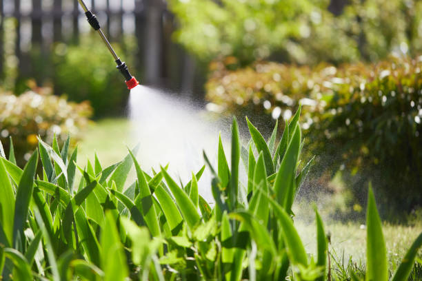 Tamper-Resistant Bait Stations for Rodents in Abita Springs