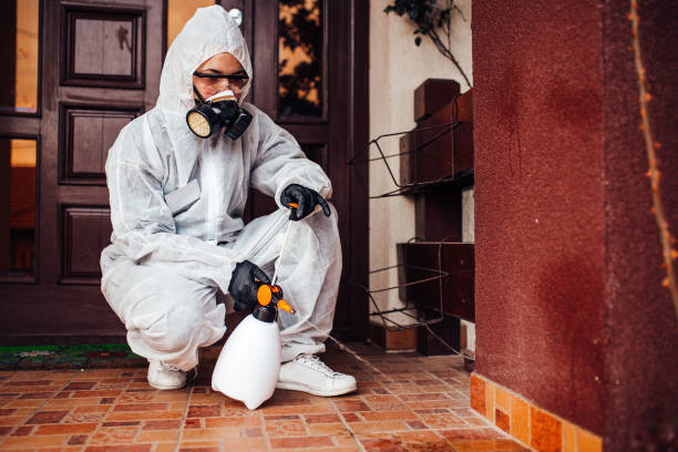 Attic and Crawl Space Rodent Treatment in Abita Springs