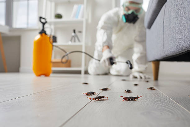 Commercial Rodent Management in Abita Springs